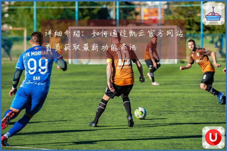 详细介绍：如何通过凯云官方网站首页获取最新功能资讯